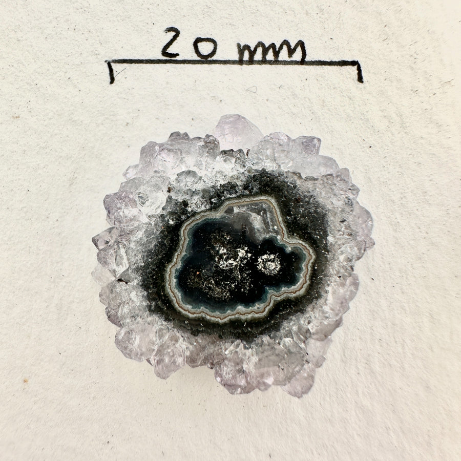 Amethyst Genuine Stalactite Slices Flat - Perfect for Crafting Unique Jewelry - STS0057