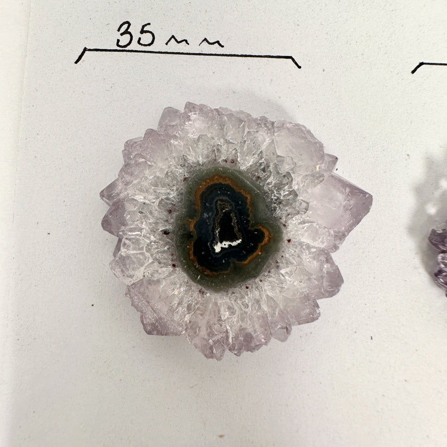 Amethyst &amp; Quartz Stalactite Slices Set - Natural Crystal for Handmade Jewelry - STS0069