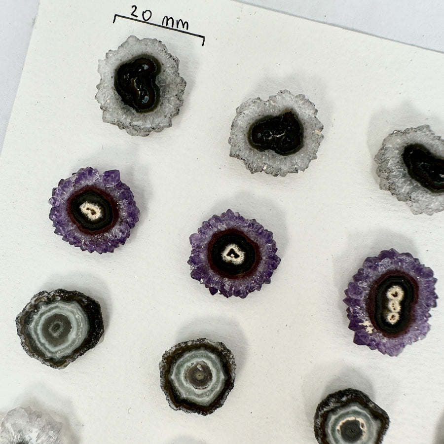 Unique Small Stalactite Slices Set - Natural Crystal for Handmade Jewelry - STS0035