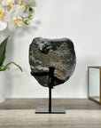 Gray Quartz Crystal Geode Specimen - MWS2689