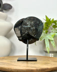 Deep Purple Natural Uruguayan Amethyst Cluster - MWS3044