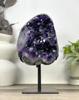 Top Quality Natural Amethyst Crystal Cluster - MWS3391