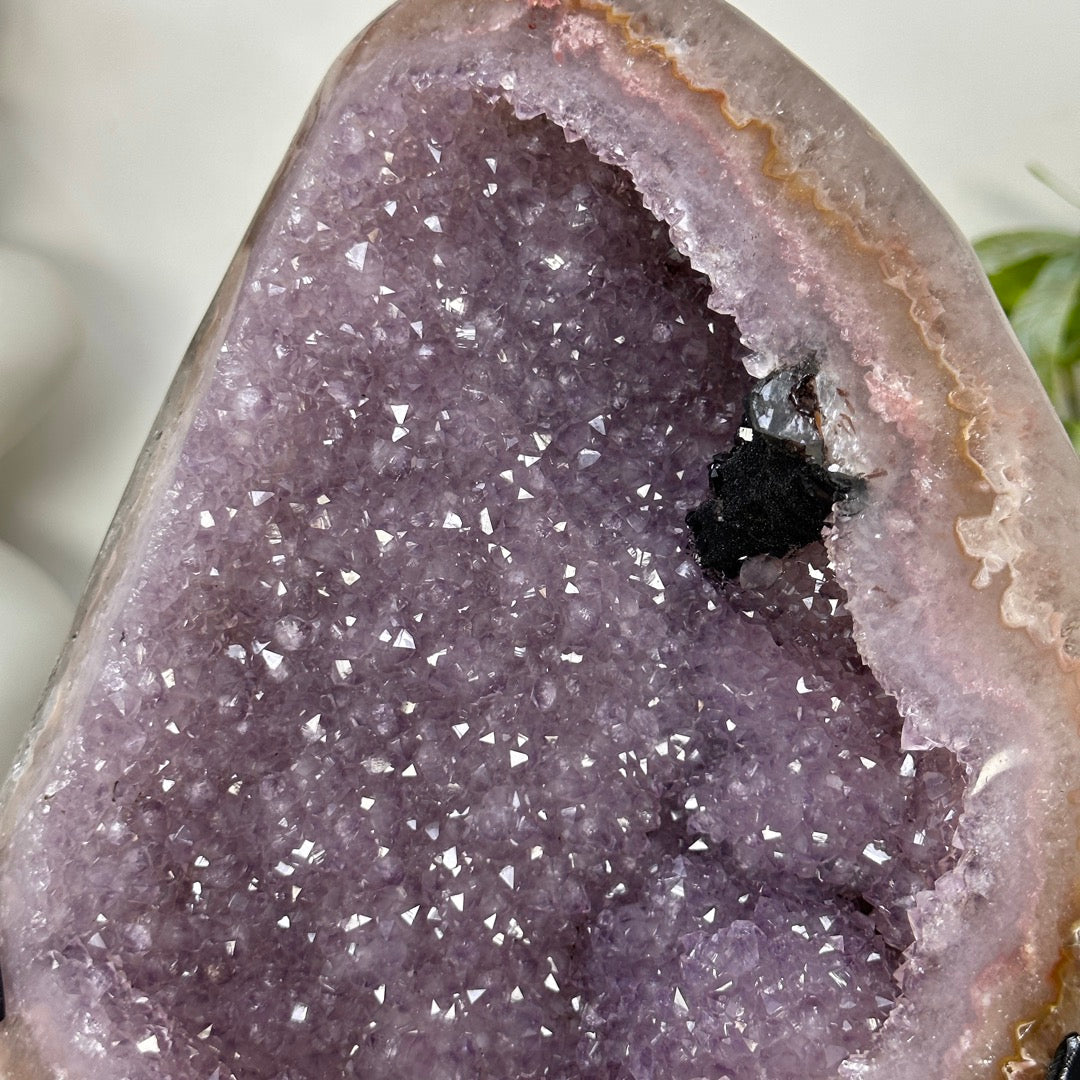 Uruguayan Amethyst Geode with Stunning Agate Shell - MWS3388