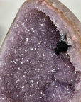 Uruguayan Amethyst Geode with Stunning Agate Shell - MWS3388