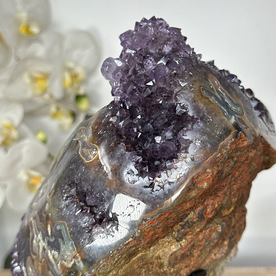 Stunning Natural Amethyst Specimen full of Stalactites Formations - MWS1801