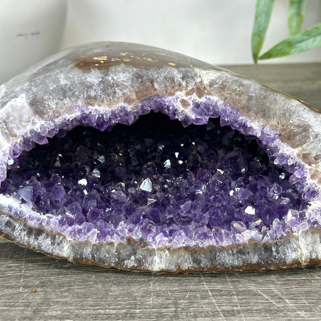 Natural Amethyst Geode with Polished Quartz Shell - STGE0049