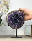 Natural Amethyst Crystal Cluster for Home Decor - MWS2434