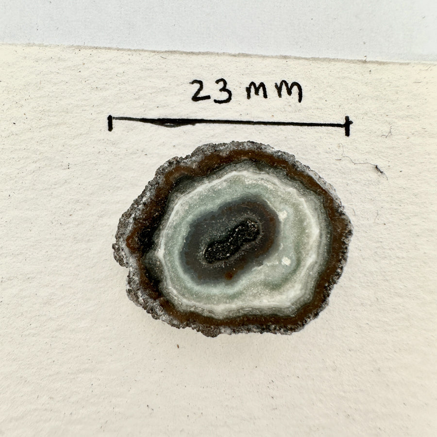 Wholesale Stalactite Slices for Jewelry Making - Bulk Flat Set - STS0061