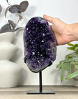 Natural Top Grade Amethyst Geode with Metal Stand - MWS3218