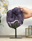 Natural Uruguayan Amethyst Crystal Formation with Stand
