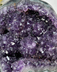 Huge Amethyst Geode with Agate & Green Jasper Shell - MWS2194