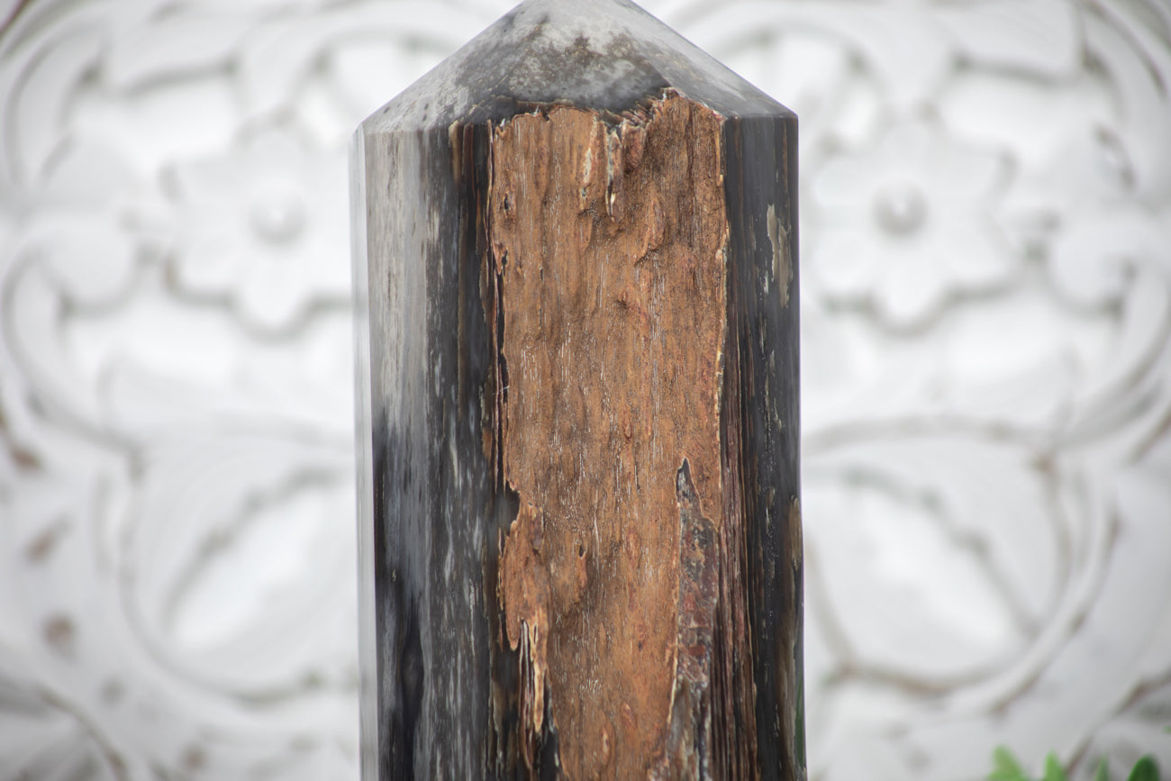 Stunning Large Petrified Wood Obelisk  - STP0042