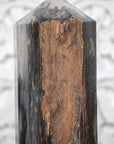Stunning Large Petrified Wood Obelisk  - STP0042