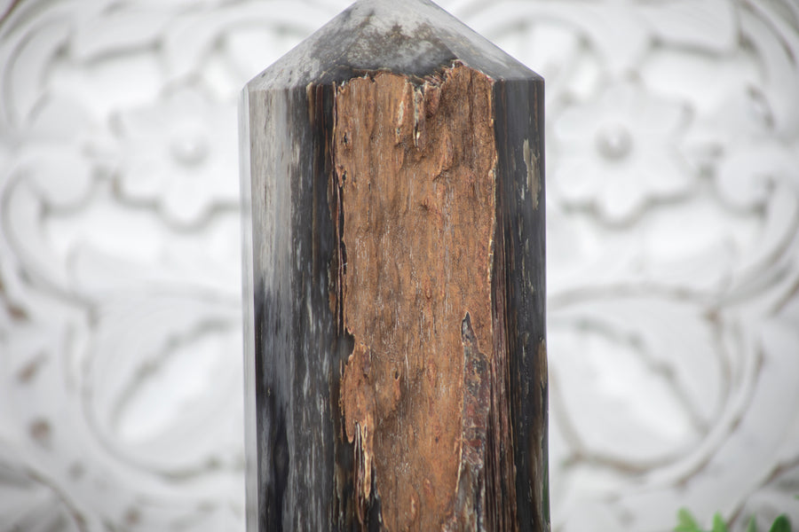 Stunning Large Petrified Wood Obelisk  - STP0042