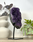 Large Natural Amethyst Stone on Ston from Uruguay - MWS3174