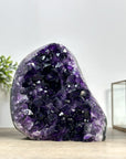XXL Top Grade Uruguayan Amethyst Cathedral - CBP1192