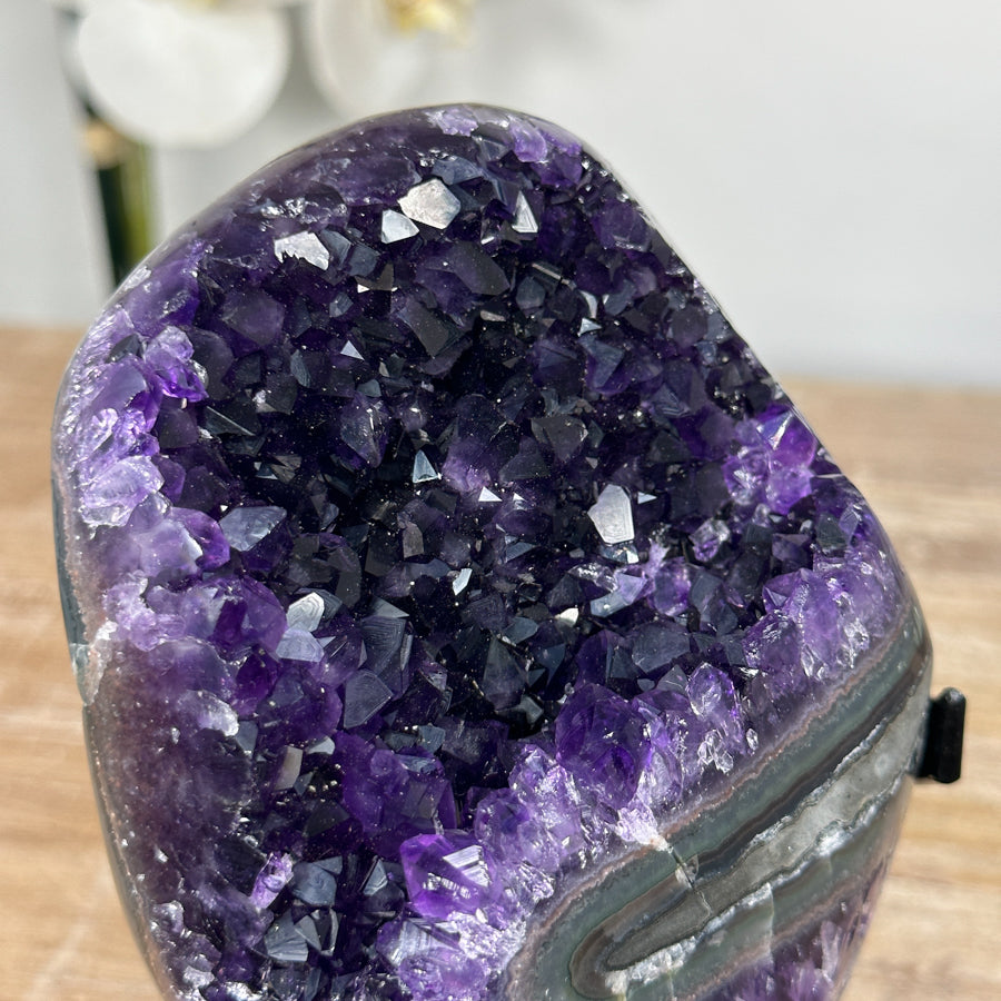 Beautiful Deep Purple Amethyst Crystal Cluster Formation - MWS1805