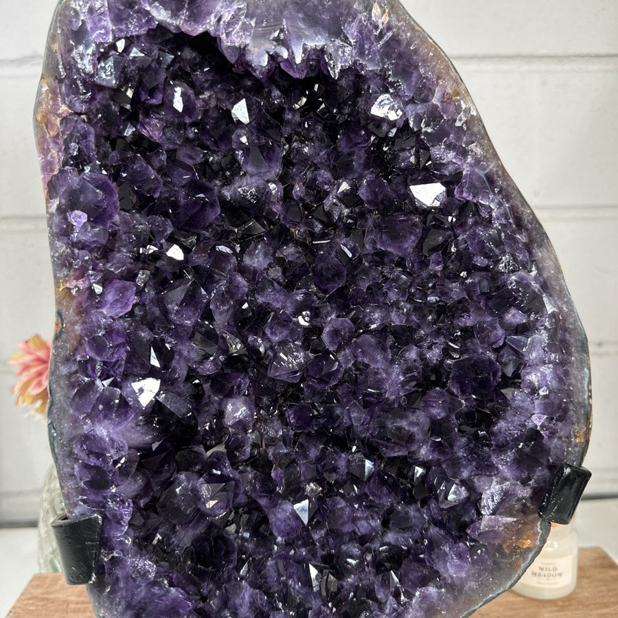 XXL 16,5 in Tall Amethyst Crystal Specimen - MWS2053