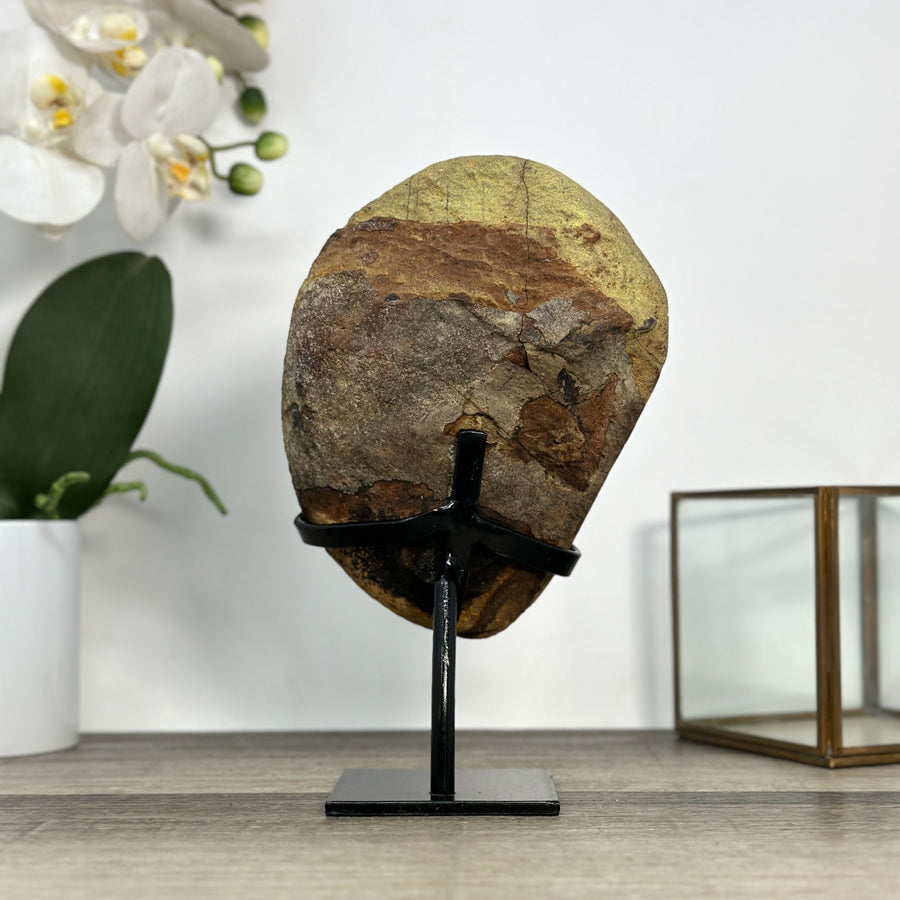 Uruguayan Amethyst Cluster with Jasper Shell on Stand - MWS2894