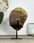Uruguayan Amethyst Cluster with Jasper Shell on Stand - MWS2894