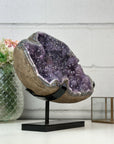 Amethyst Statement Piece Full of Stalactite Formations - MWS2448