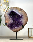 Large Natural Amethyst Geode - MWS2268