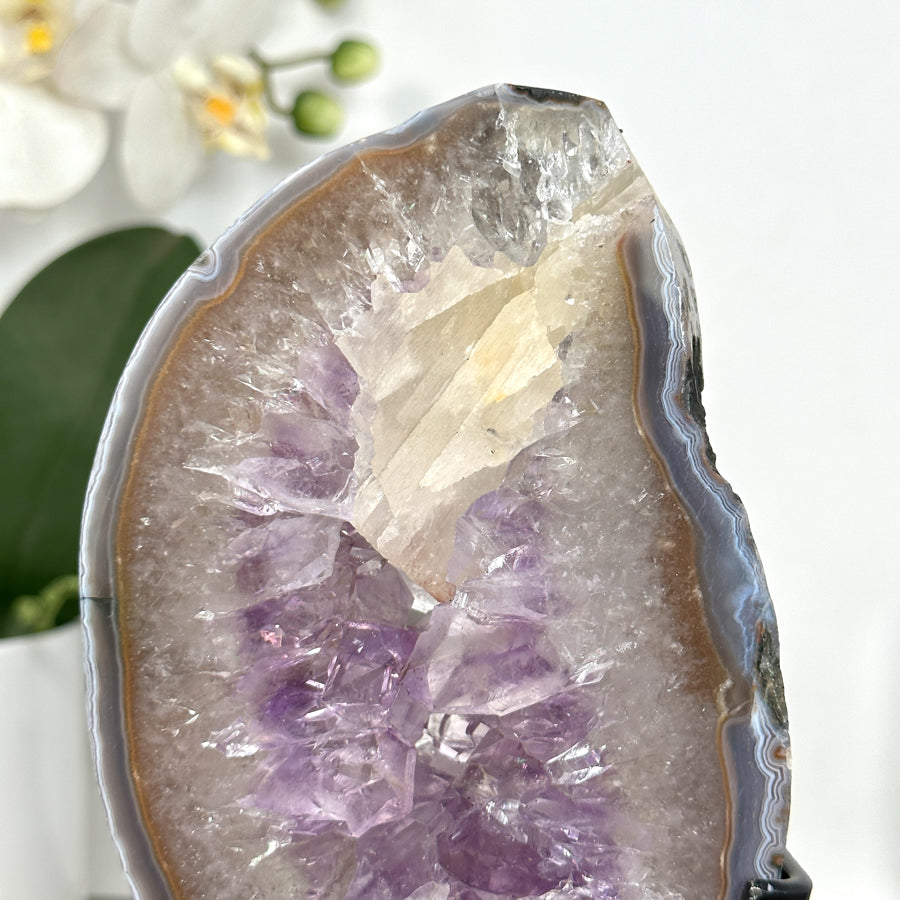 Amethyst Geode Slice with Deep Purple Crystals - MWS2914