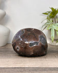 Uruguayan Polished Stone Geode - STGE0093