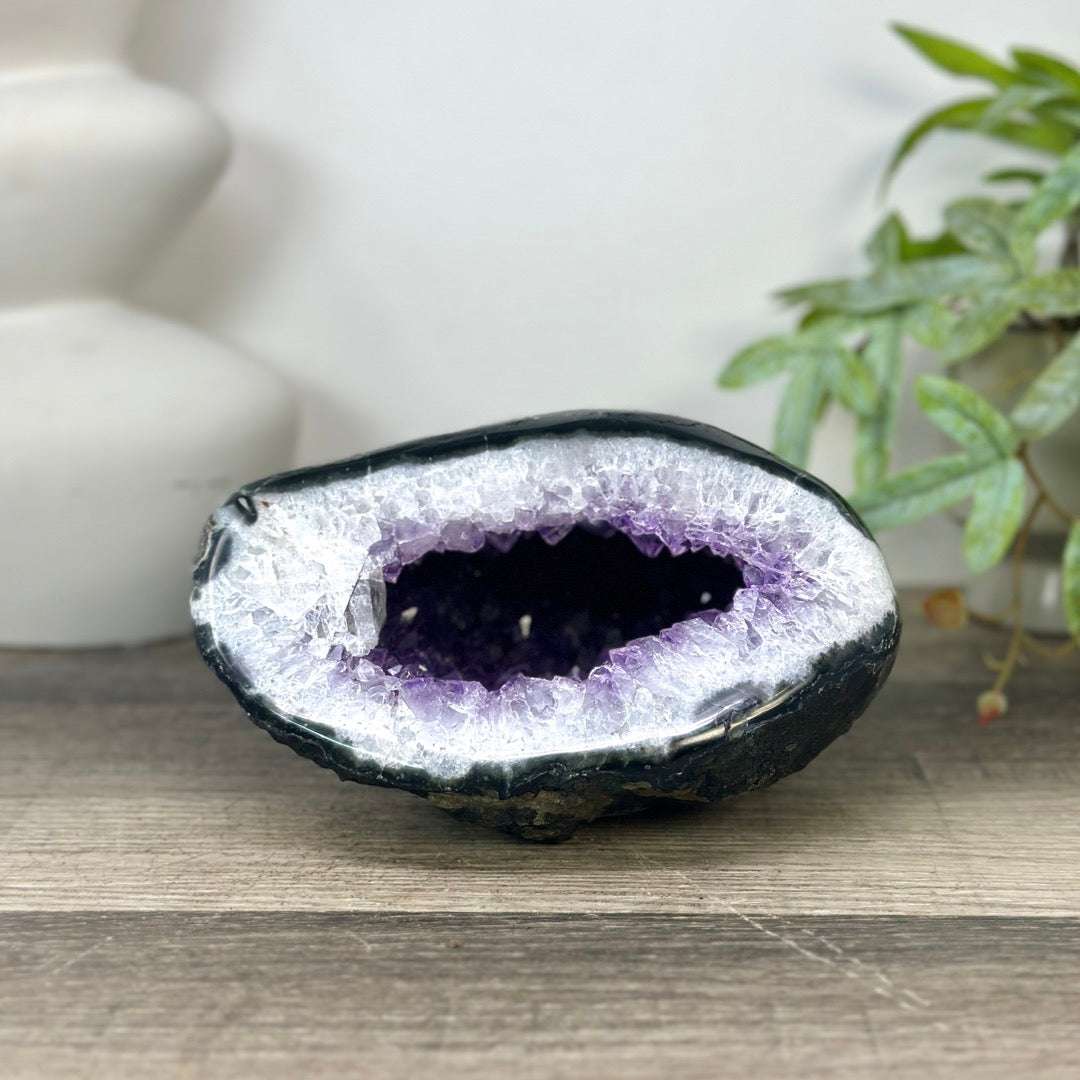 Natural Amethyst Geode with Quartz Shell - STGE0041
