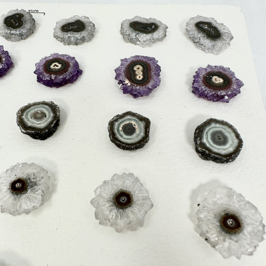 Unique Small Stalactite Slices Set - Natural Crystal for Handmade Jewelry - STS0035