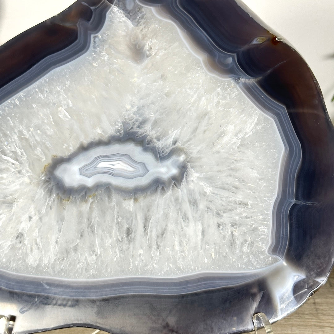 Uruguayan Blue Banded Agate Slice - SLC0023