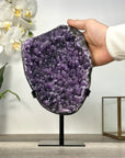 Amethyst Geode Full of Stalctites on Stand - MWS2649