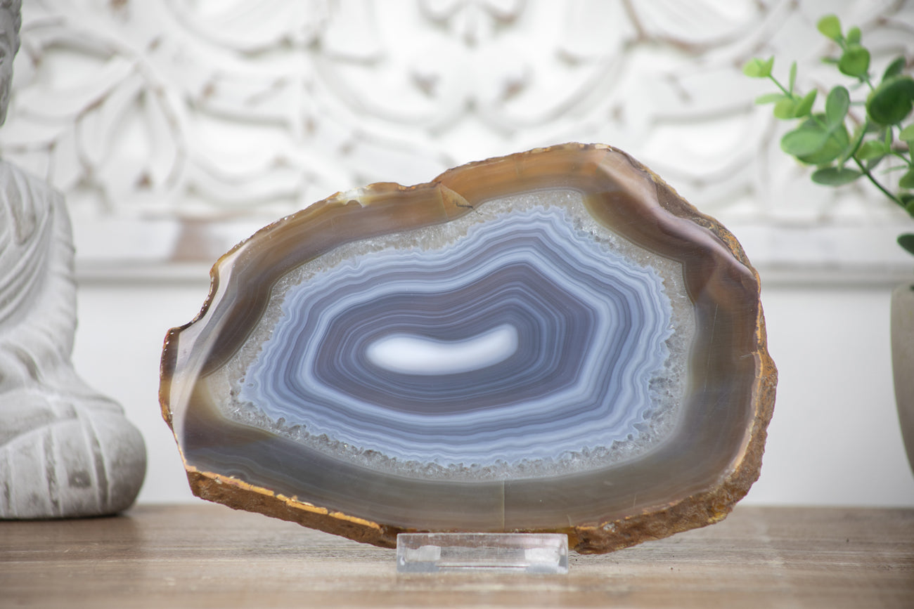 Natural Blue Banded Agate Slice - SLC0002