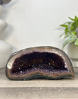 Natural Amethyst Geode with Agate Shell - STGE0112