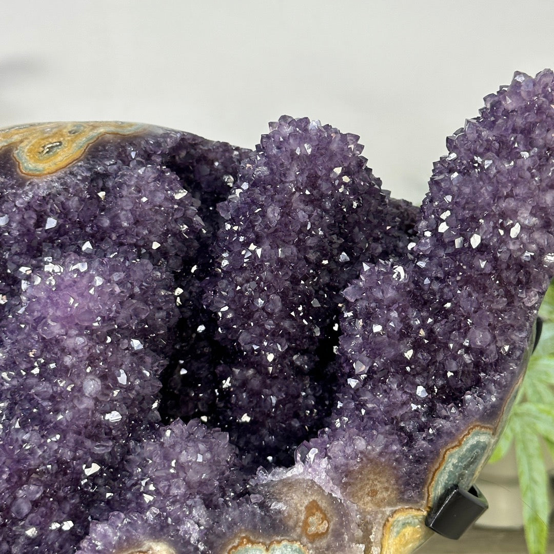 Unqiue Collection Grade Amethyst &amp; Jasper Stalactite Formation - MWS3399