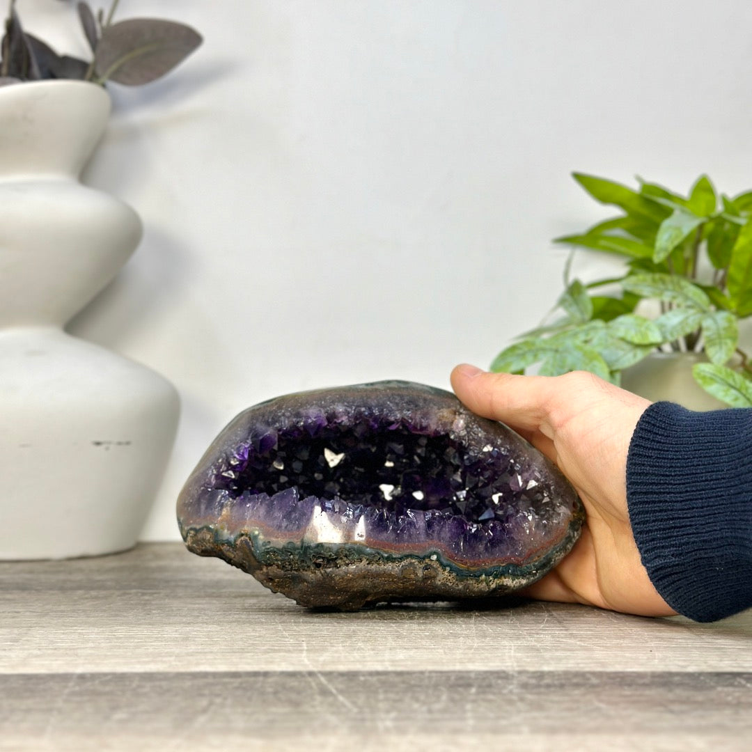 Amethyst Geode with Deep purple Crystals &amp; Polished Shell - STGE0119