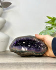 Amethyst Geode with Deep purple Crystals & Polished Shell - STGE0119