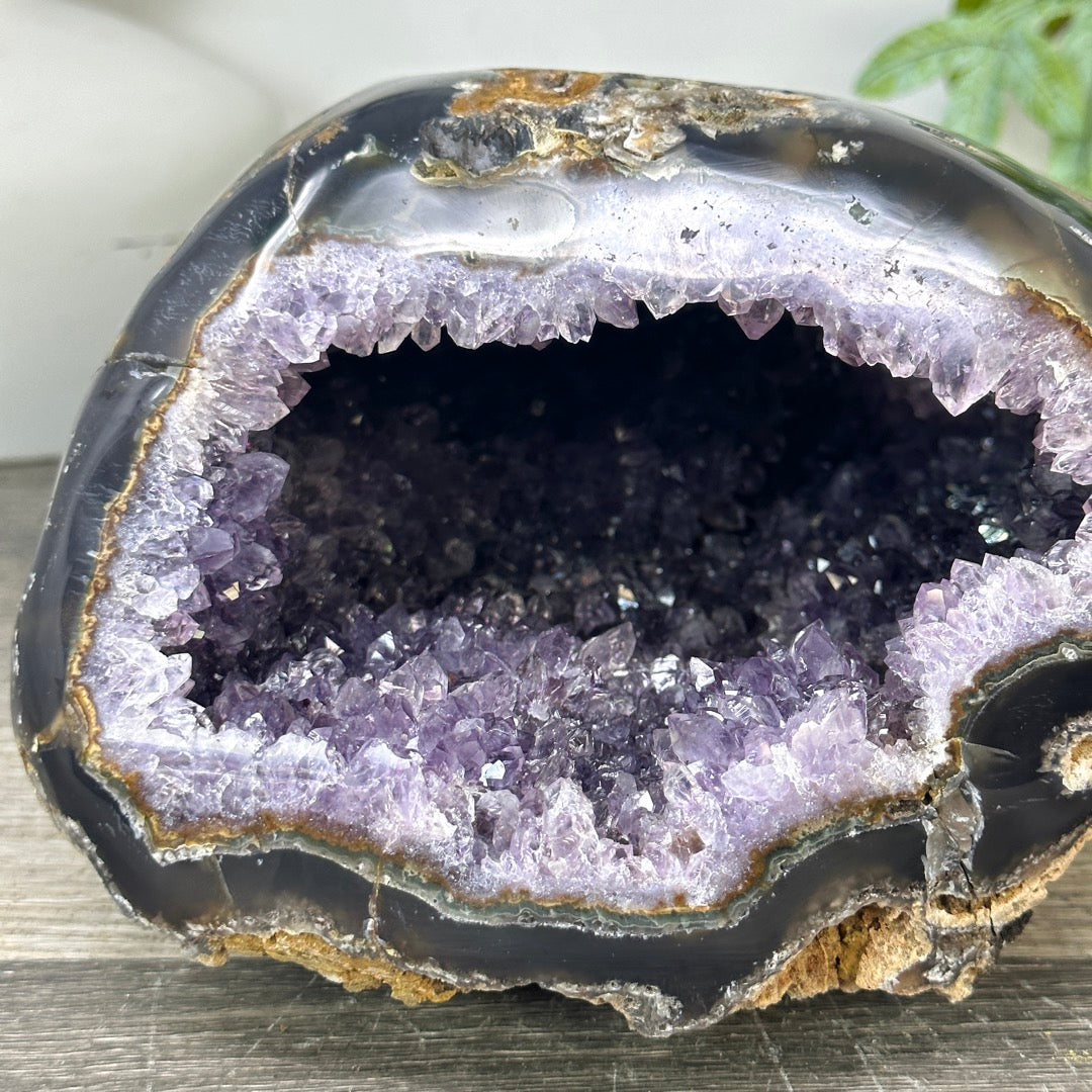 Natural Amethyst &amp; agate Geode - STGE0045