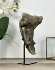 Natural Druzy Crystal with Green Color Tones – Unique Mineral Display Piece" - MWS2898