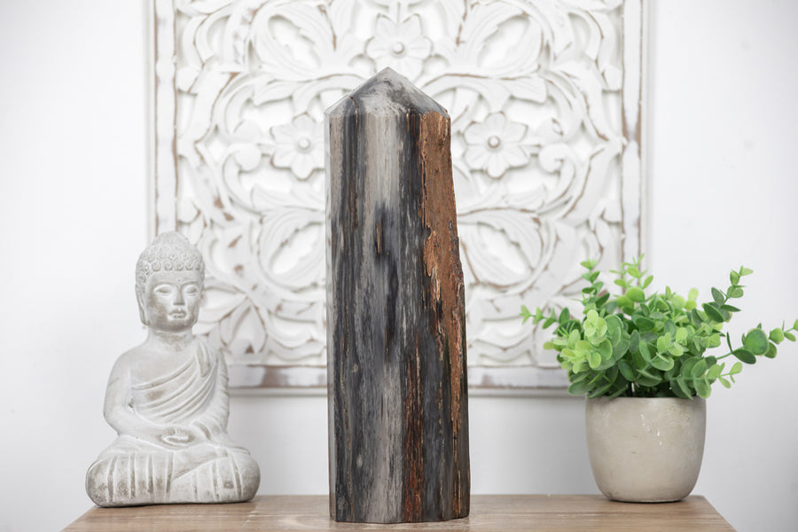 Stunning Large Petrified Wood Obelisk  - STP0042