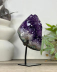 Uruguayan Amethyst Cluster with Large & Shinny Crystals - MWS3314