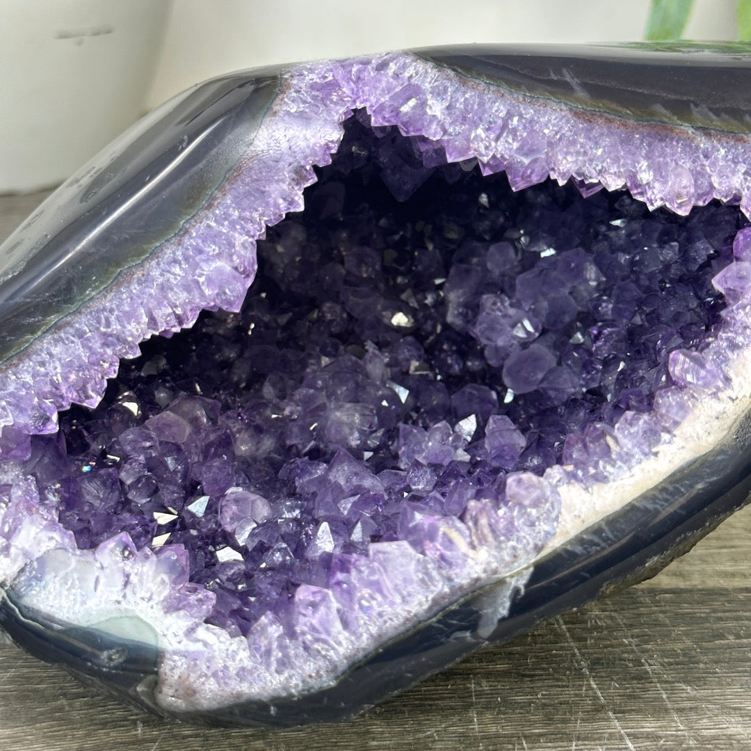 Uruguayan Amethyst geode with agate Shell - STGE0044