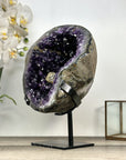 Uruguayan Amethyst Geode with Deep Purple Crystals - MWS2834