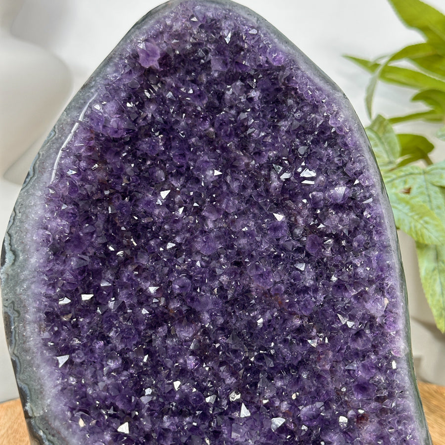Uruguayan Amethyst cathedral Geode for Home Decor - CBP1306