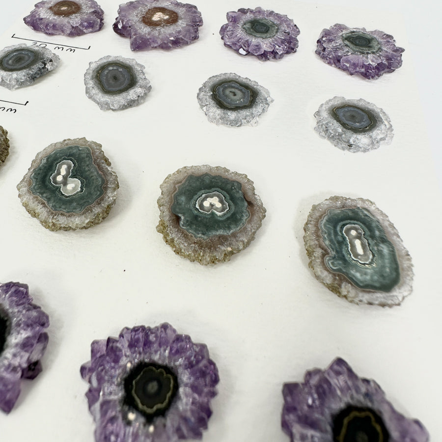 Wholesale Stalactite Slices for Jewelry Making - Bulk Flat Set - STS0010