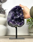Top Quality Natural Amethyst Crystal Cluster - MWS3391