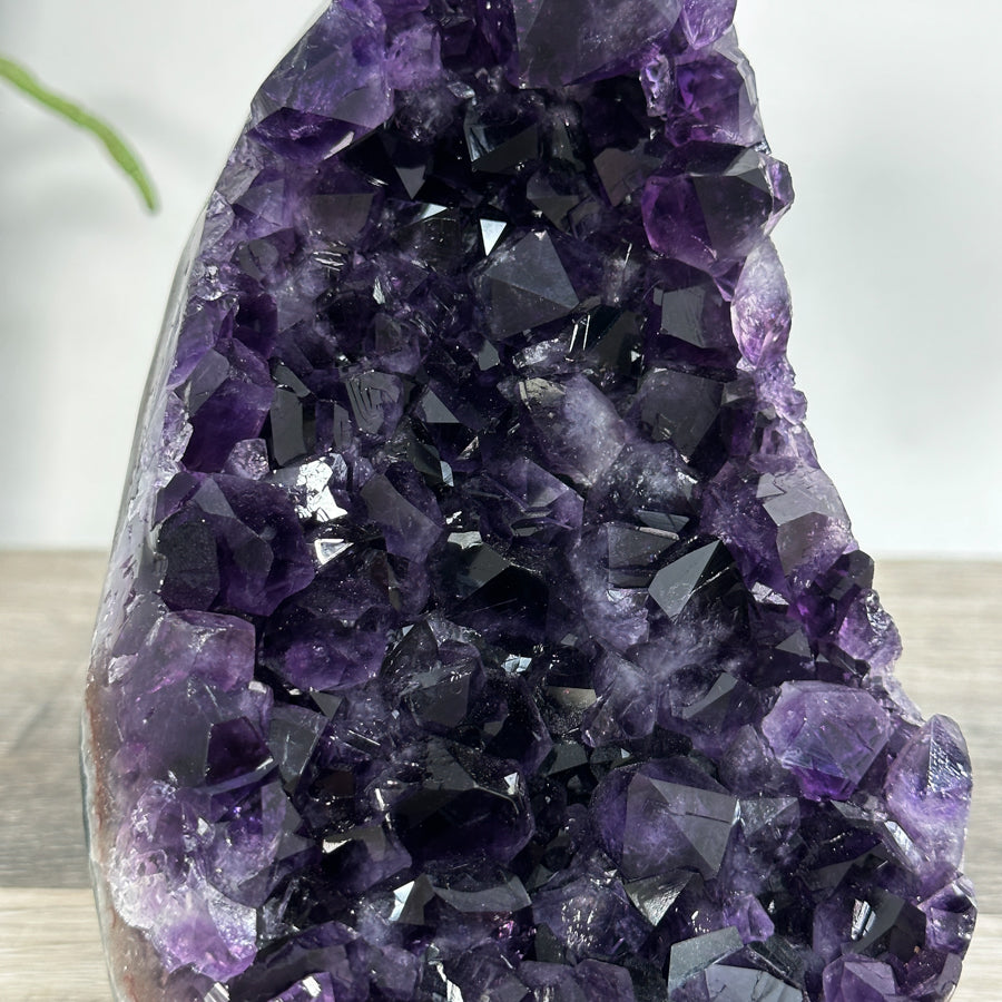 Amethyst Crystal Cluster with Deep Purple Points - CBP1226