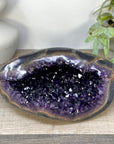 Natural Deep Purple Amethyst Geode with Agate Shell - STGE0102