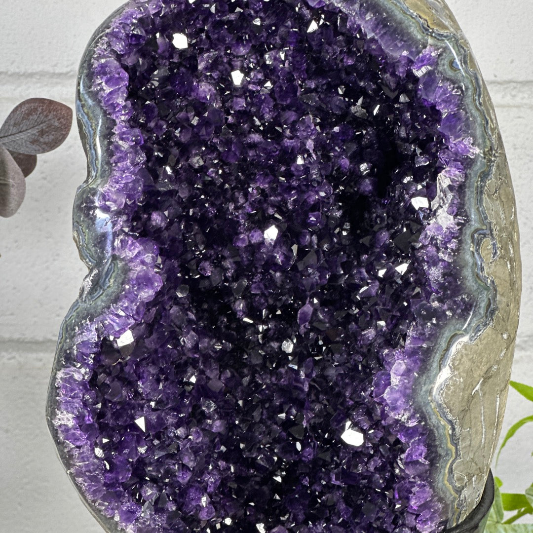 XXL Unique Natural Top Quality Amethyst Geode Statement Piece - MWS3282