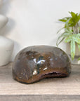 Amethyst Geode with Polished Shell - STGE0099